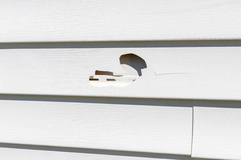 Damaged Vinyl Siding Replacement